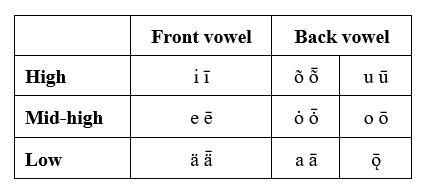 LANGUAGE FEATURES – Minority and Minoritized Languages and Cultures